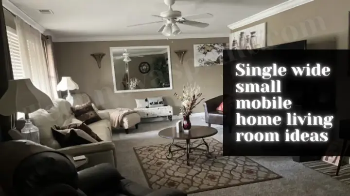 Single Wide Small Mobile Home Living Room Ideas That Work