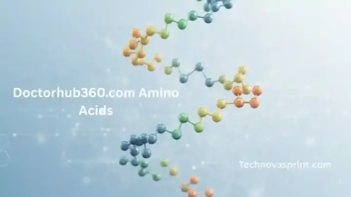 DoctorHub360.com Amino Acids and Fitness Recovery